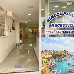 Mimoza Antalya